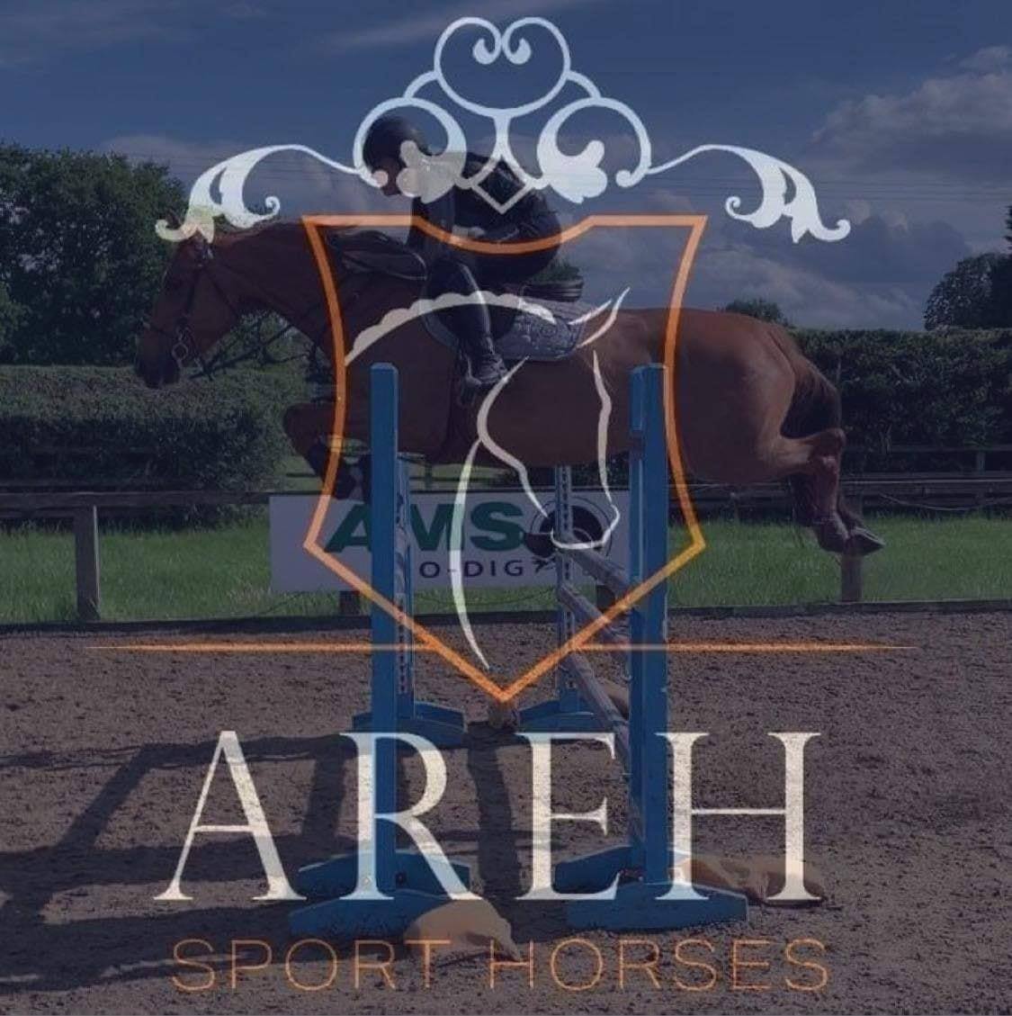 Areh Sport Horses